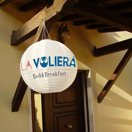 La Voliera Bed & Breakfast ปิซา ภายนอก รูปภาพ